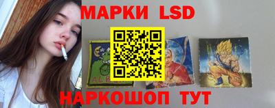 твердый Новодвинск