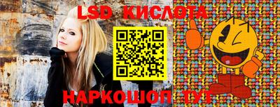 амф Новокубанск