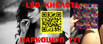твердый Новодвинск