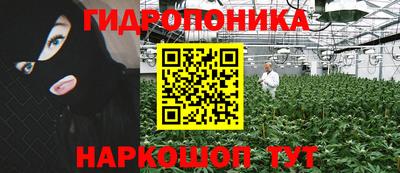 амф Новокубанск